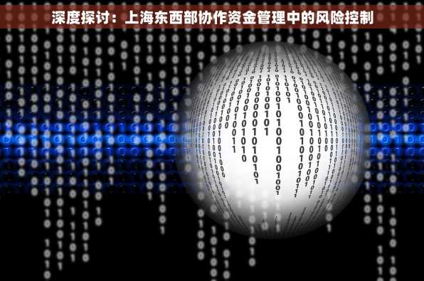 深度探讨：上海东西部协作资金管理中的风险控制