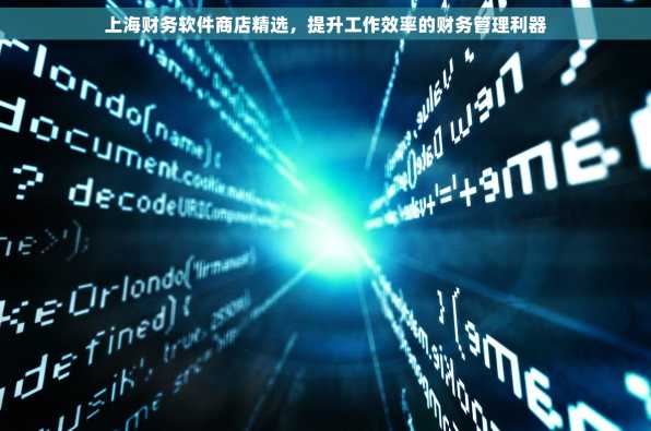 上海财务软件商店精选，提升工作效率的财务管理利器