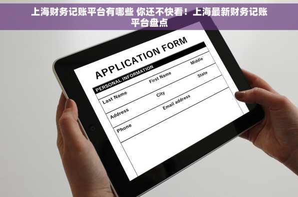 上海财务记账平台有哪些 你还不快看！上海最新财务记账平台盘点
