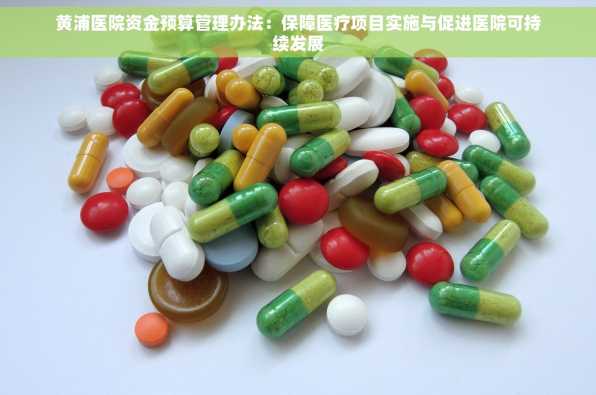 黄浦医院资金预算管理办法：保障医疗项目实施与促进医院可持续发展