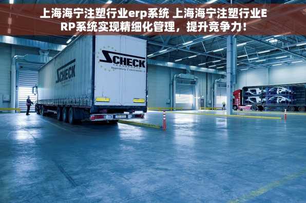 上海海宁注塑行业erp系统 上海海宁注塑行业ERP系统实现精细化管理，提升竞争力！