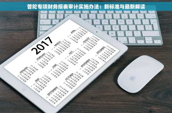 普陀专项财务报表审计实施办法：新标准与最新解读