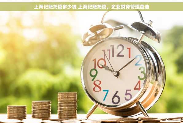 上海记账托管多少钱 上海记账托管，企业财务管理首选