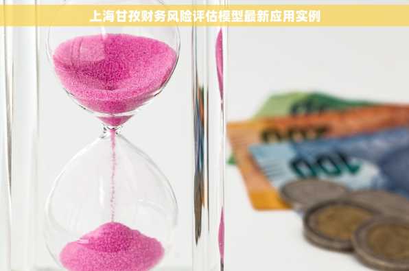 上海甘孜财务风险评估模型最新应用实例