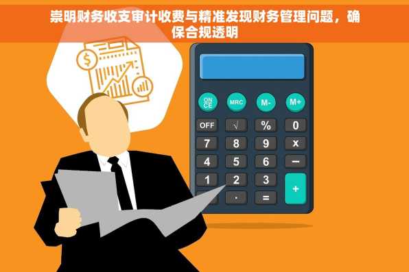 崇明财务收支审计收费与精准发现财务管理问题，确保合规透明