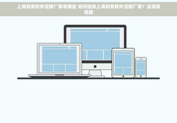上海财务软件定做厂家有哪些 如何选择上海财务软件定制厂家？这值得信赖