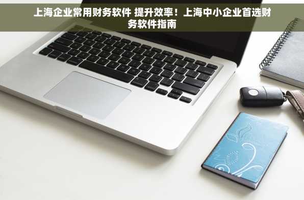 上海企业常用财务软件 提升效率！上海中小企业首选财务软件指南