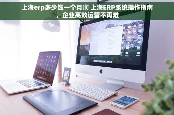 上海erp多少钱一个月啊 上海ERP系统操作指南，企业高效运营不再难