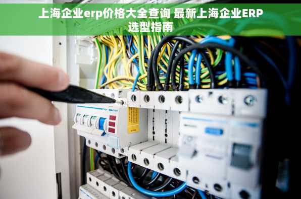 上海企业erp价格大全查询 最新上海企业ERP选型指南