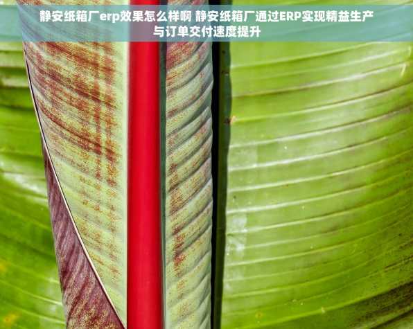 静安纸箱厂erp效果怎么样啊 静安纸箱厂通过ERP实现精益生产与订单交付速度提升