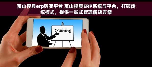 宝山模具erp购买平台 宝山模具ERP系统与平台，打破传统模式，提供一站式管理解决方案