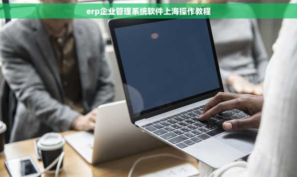 erp企业管理系统软件上海操作教程