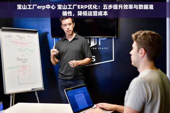 宝山工厂erp中心 宝山工厂ERP优化：五步提升效率与数据准确性，降低运营成本