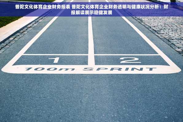 普陀文化体育企业财务报表 普陀文化体育企业财务透明与健康状况分析：财报解读展示稳健发展