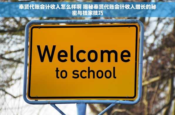 奉贤代账会计收入怎么样啊 揭秘奉贤代账会计收入增长的秘密与独家技巧
