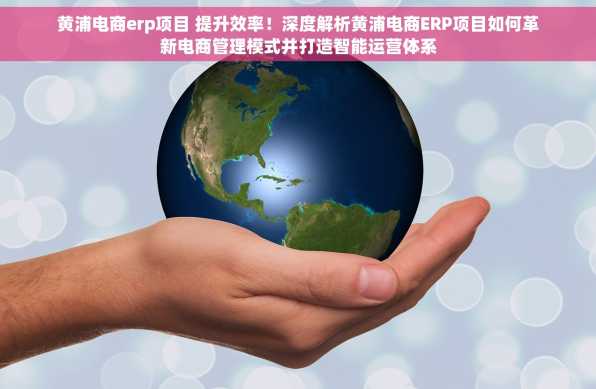 黄浦电商erp项目 提升效率！深度解析黄浦电商ERP项目如何革新电商管理模式并打造智能运营体系