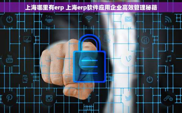 上海哪里有erp 上海erp软件应用企业高效管理秘籍