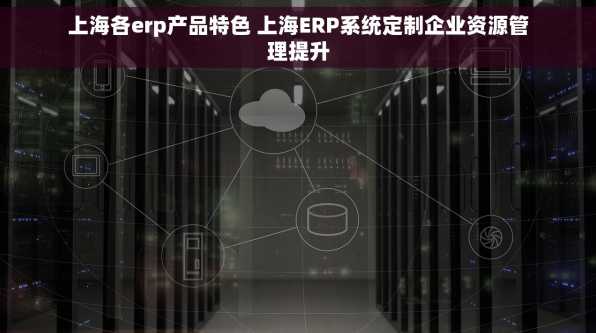 上海各erp产品特色 上海ERP系统定制企业资源管理提升