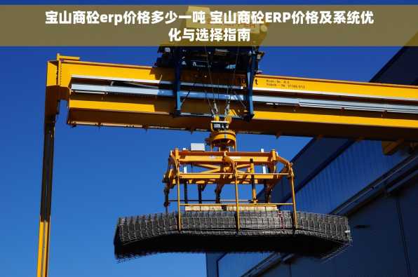 宝山商砼erp价格多少一吨 宝山商砼ERP价格及系统优化与选择指南