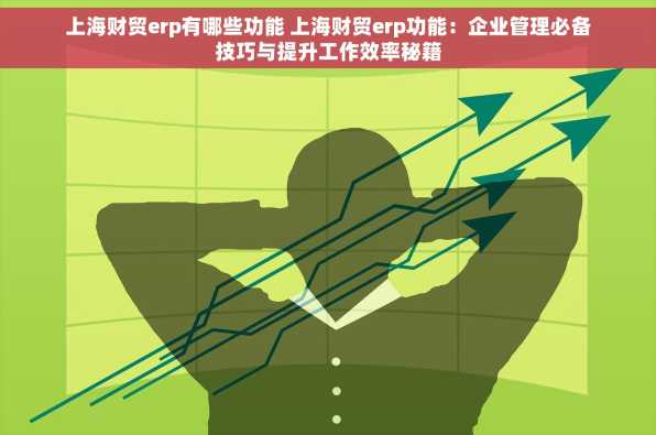 上海财贸erp有哪些功能 上海财贸erp功能：企业管理必备技巧与提升工作效率秘籍