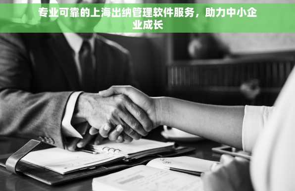 专业可靠的上海出纳管理软件服务，助力中小企业成长