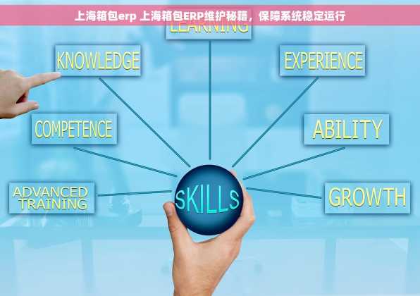 上海箱包erp 上海箱包ERP维护秘籍，保障系统稳定运行