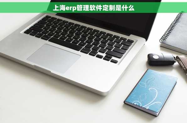 上海erp管理软件定制是什么