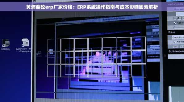 黄浦商砼erp厂家价格：ERP系统操作指南与成本影响因素解析