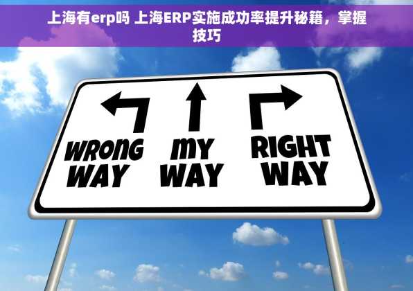 上海有erp吗 上海ERP实施成功率提升秘籍，掌握技巧