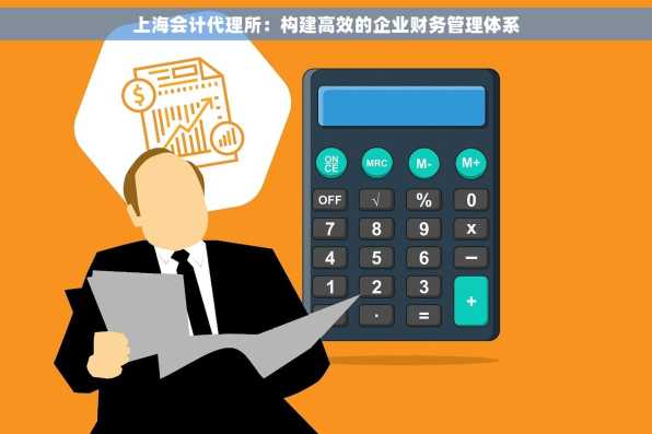 上海会计代理所：构建高效的企业财务管理体系