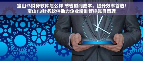 宝山t3财务软件怎么样 节省时间成本，提升效率首选！宝山T3财务软件助力企业精准管控账目管理