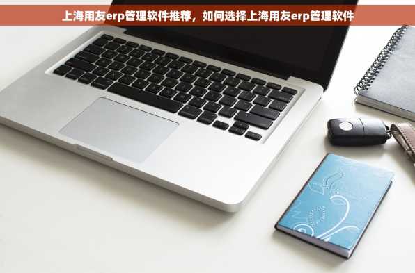 上海用友erp管理软件推荐，如何选择上海用友erp管理软件
