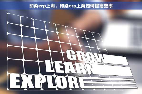 印染erp上海，印染erp上海如何提高效率