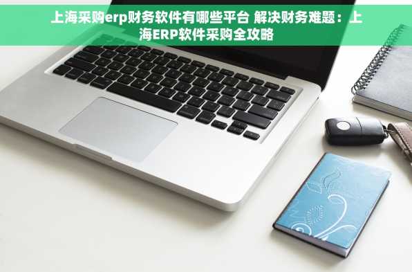 上海采购erp财务软件有哪些平台 解决财务难题：上海ERP软件采购全攻略