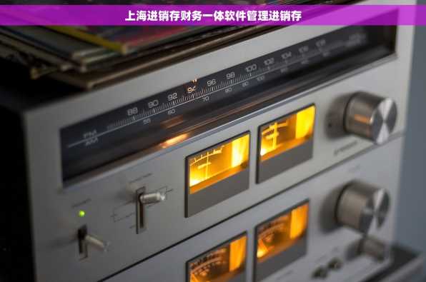 上海进销存财务一体软件管理进销存