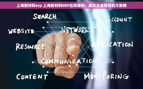上海新材料erp 上海新材料ERP应用案例：成功企业背后的大策略