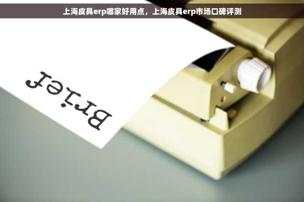 上海皮具erp哪家好用点，上海皮具erp市场口碑评测