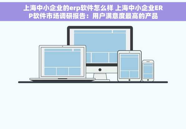 上海中小企业的erp软件怎么样 上海中小企业ERP软件市场调研报告：用户满意度最高的产品