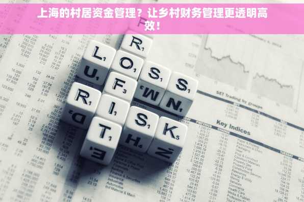 上海的村居资金管理？让乡村财务管理更透明高效！
