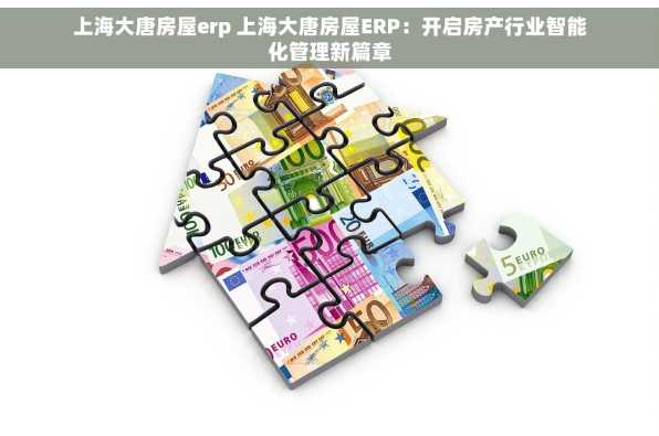 上海大唐房屋erp 上海大唐房屋ERP：开启房产行业智能化管理新篇章