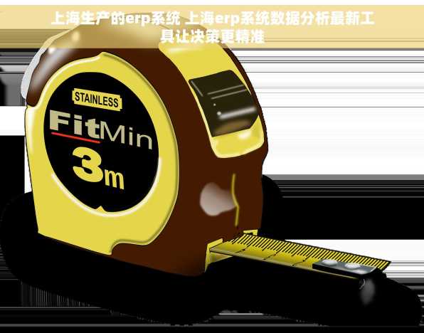 上海生产的erp系统 上海erp系统数据分析最新工具让决策更精准