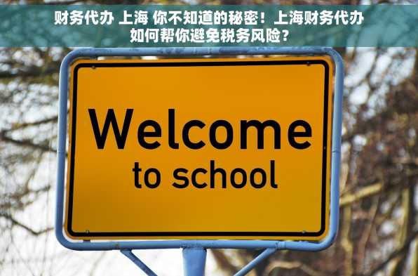 财务代办 上海 你不知道的秘密！上海财务代办如何帮你避免税务风险？