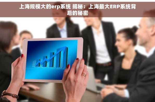 上海规模大的erp系统 揭秘：上海最大ERP系统背后的秘密