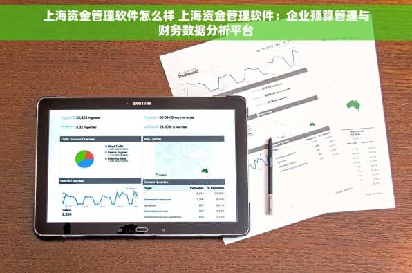 上海资金管理软件怎么样 上海资金管理软件：企业预算管理与财务数据分析平台
