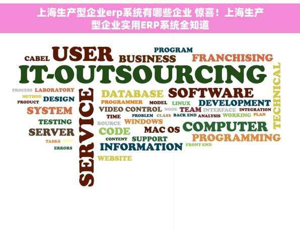 上海生产型企业erp系统有哪些企业 惊喜！上海生产型企业实用ERP系统全知道