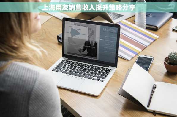 上海用友销售收入提升策略分享