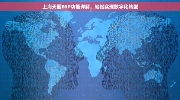 上海天园ERP功能详解，轻松实现数字化转型