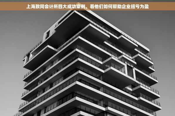 上海致同会计所四大成功案例，看他们如何帮助企业扭亏为盈