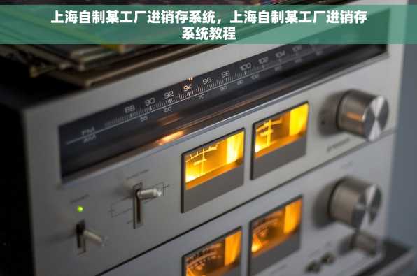 上海自制某工厂进销存系统，上海自制某工厂进销存系统教程