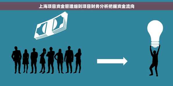 上海项目资金管理细则项目财务分析把握资金流向